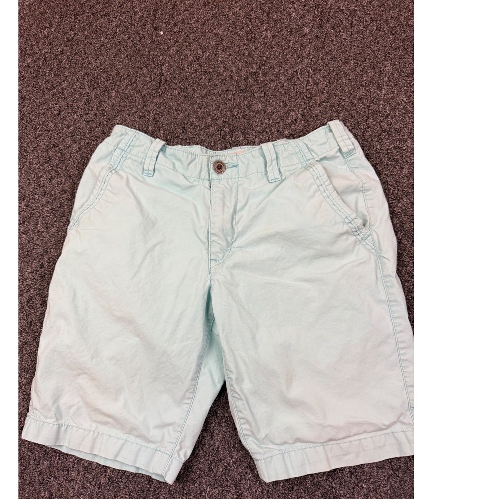 Express Mens Mint Green Chino Shorts Size 28 Aqua Blue Cotton‎ Flat Front Lion